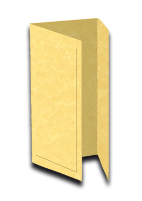 decadry-3luik-card-parchment gold-opm4609
