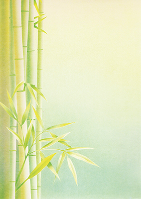 decadry-a4-paper-bamboo-dpf613