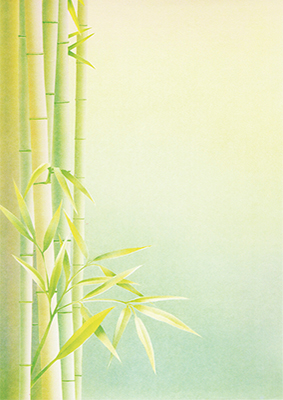 Bamboo