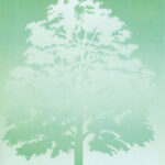 Tree 3 decadry a4 papier boom dpf505