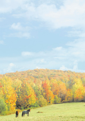 Autumn