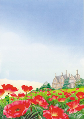 Poppies