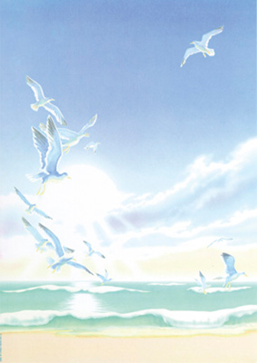 decadry-a4-paper-seagulls-dpf560