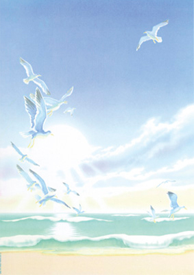 Seagulls