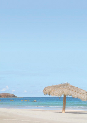 Pacific Dream