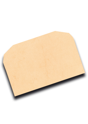 decadry-envelope-buffalo-coral-pvr1877