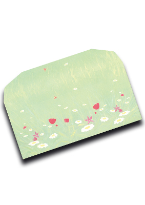 Envelope Spring