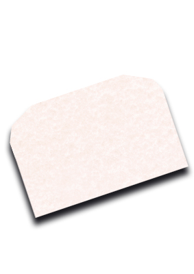 decadry-envelope-parchment-pink-pvm1819