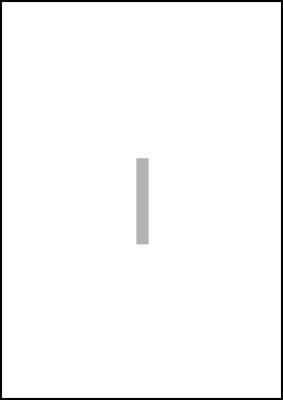 Label A4 (210 x 297 mm)