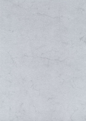 Buffalo Gray