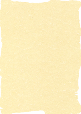 decadry-structure paper-a4-parchment-champagne-2058d
