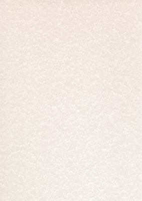Parchment Warm Grey