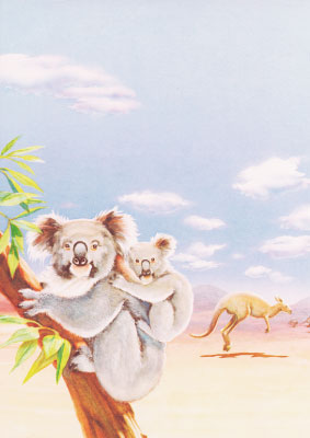 decadry thema papier koala dpf615
